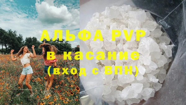 стаф Инсар