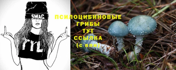 спиды Бутурлиновка