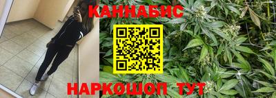 прущие крисы Кулебаки