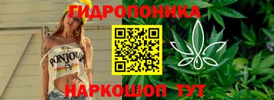 гидра Кунгур