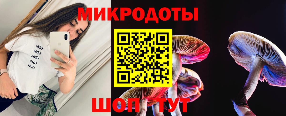 Псилоцибиновые грибы прущие грибы Кашира